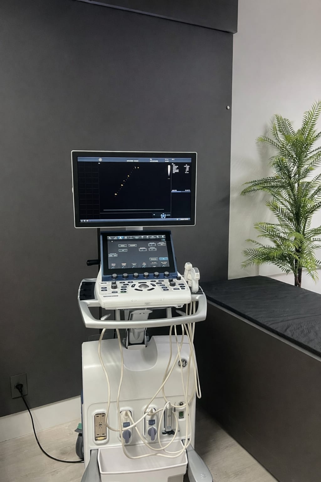 Aparelho de Ecocardiograma em Sete Lagoas - Dra. Victória Lima